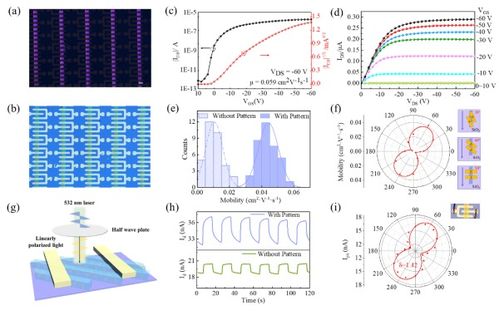 化学所在印刷制备单一取向有机半导体单晶阵列方面取得进展